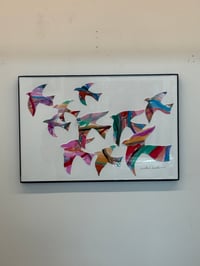 Rainbow Birds