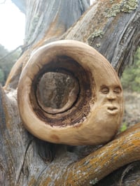 Image 1 of Cottonwood Dreams