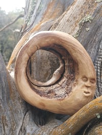 Image 4 of Cottonwood Dreams
