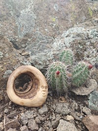 Image 3 of Cottonwood Dreams