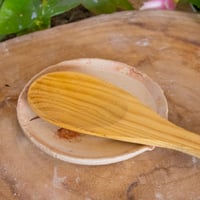 Image 4 of Pachyrhinosaurus Spoon Dish