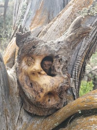 Image 1 of Little Voice Inside