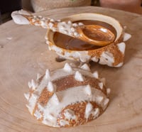 Image 2 of Ankylosaurus Salt Dish