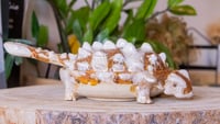 Image 4 of Ankylosaurus Salt Dish