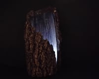 Image 1 of Forest Hollow 
