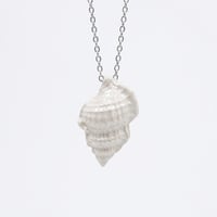 Image 1 of Χειροποίητο Κολιέ "White Murex Shell" – Ατσάλινη Αλυσίδα