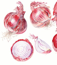 Image 3 of Know Your Onions Card