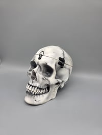 Image 3 of The Final Look