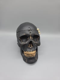Image 7 of The Final Look