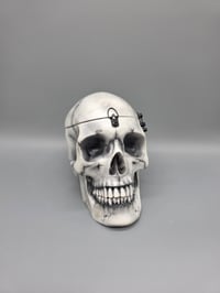 Image 5 of The Final Look