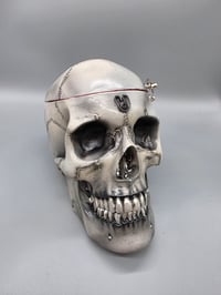 Image 20 of The Final Look