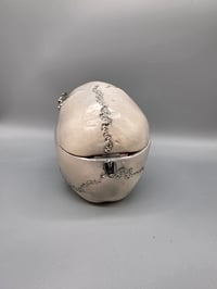 Image 23 of The Final Look