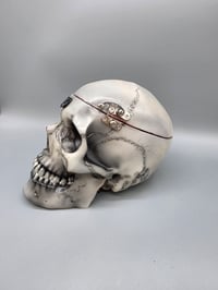 Image 21 of The Final Look