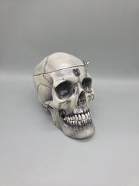 Image 22 of The Final Look