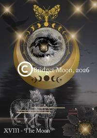 Image 5 of Pre-Order Poetic Moon Tarot Deck & Angel Numbers Deck