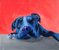 Black Dog Print