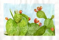 Cactus Print