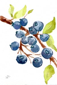 Blueberry Print