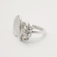 Image 4 of Kerpė ring