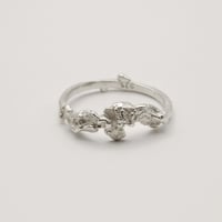 Image 1 of Texture ring