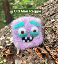 Image 3 of Felt Soap Buddies