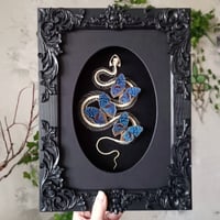 Viper Skeleton & Blue Butterflies