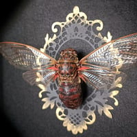 Image 2 of Large! Framed cicada