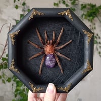 Framed Tarantula wth Amethyst