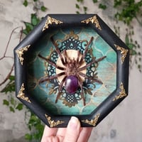 Framed spider