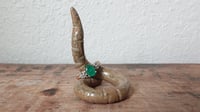 Image 3 of Small Worm Ring Holder #2