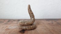 Image 2 of Small Worm Ring Holder #3