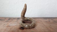 Image 3 of Small Worm Ring Holder #3