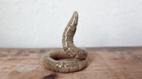 Image 2 of Small Worm Ring Holder #4