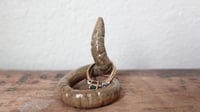 Image 3 of Small Worm Ring Holder #4