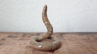 Image 2 of Small Worm Ring Holder #5