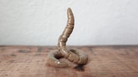Image 3 of Small Worm Ring Holder #5