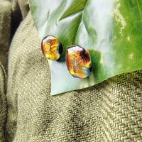 Image 2 of Emberlings