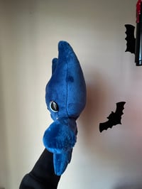Image 4 of Blue gibbie 