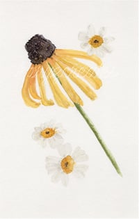 "Yellow Coneflower" Print