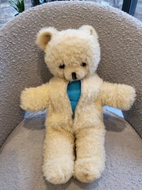 Image 2 of Wendy Boston Teddy with Zipped Bear suit 1960s