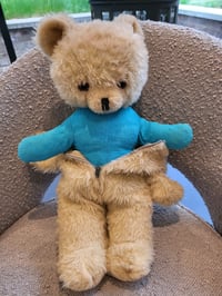 Image 1 of Wendy Boston Teddy with Zipped Bear suit 1960s