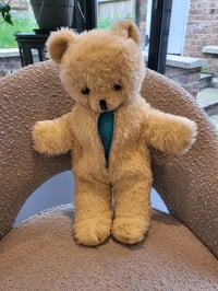Image 3 of Wendy Boston Teddy with Zipped Bear suit 1960s