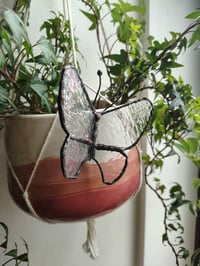 Auralis Butterfly - Plant Pot Charm