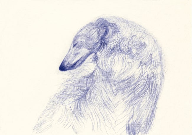 The Borzoi ~ Giclee print 