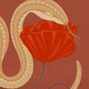Image 2 of Print “Amapola”