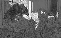 Image 1 of Forgotten Hoard · Print