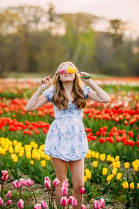 Image 1 of 5/5  and 5/7 Tulip Field Minis