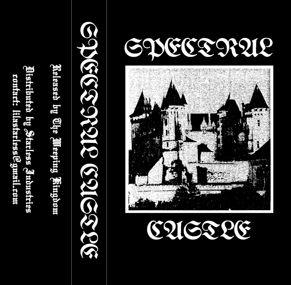 Image of SPECTRAL CASTLE "I've always been here" CS