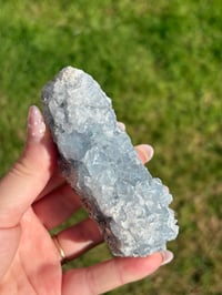 Image 1 of Celestite Cluster #1