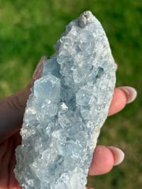 Image 5 of Celestite Cluster #1